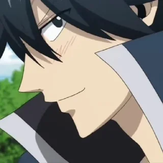😊 emoji Gray Fullbuster Telegram sticker 10 of 39