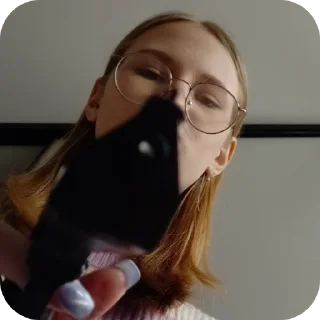 🔫 emoji Бурлацкая в деле Telegram sticker 9 of 41