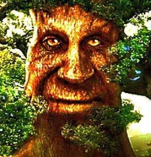 🌲 emoji Мудрое Мистическое Дерево Telegram sticker 5 of 13