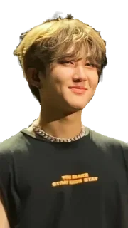😺 emoji Stray kids ❤️ Telegram sticker 9 of 52