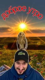 🌟 emoji паша техник как смысл жизни Telegram sticker 20 of 25