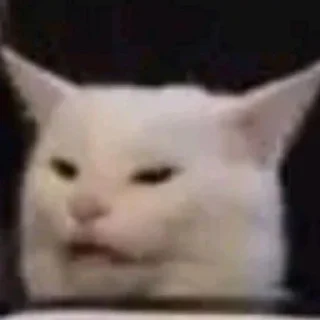 Sticker from cats