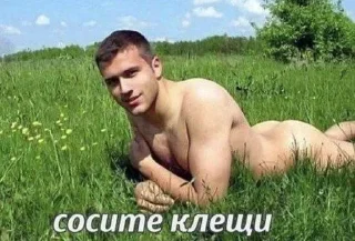 💅 emoji Злоебучий Кувшинчик Telegram sticker 20 of 42