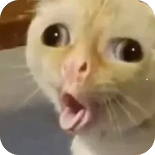 🤢 emoji Котья Telegram sticker 6 of 34