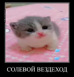 🌟 emoji ужэс Telegram sticker 23 of 54