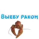 🛏️ emoji WhereToCum2 @TVstickers Telegram sticker 7 of 120