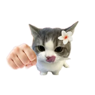 👍 emoji qeueioph Telegram sticker 14 of 30