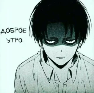 Sticker from levi