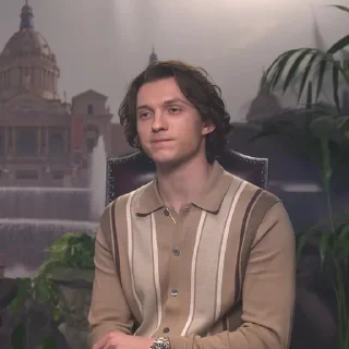 🫁 emoji холландяшкинс Telegram sticker 20 of 70