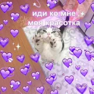 🌟 emoji Love Cats Telegram sticker 6 of 38
