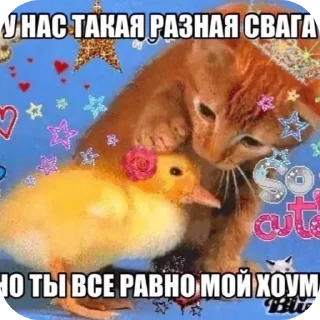🐱 emoji sybau💔@fStikBot Telegram sticker 17 of 120