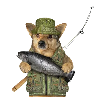 🎣 emoji ВОВА Telegram sticker 22 of 45