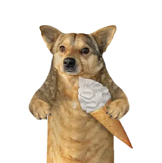 🦴 emoji ВОВА Telegram sticker 10 of 45