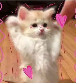 💗 emoji @Obezyana_VInternete kotiki lo Telegram sticker 22 of 41