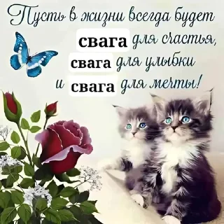 Sticker from Свага присутствует @AMFETAMIN_LSD