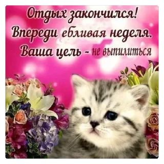 😪 emoji гнилая улыбка Telegram sticker 16 of 119