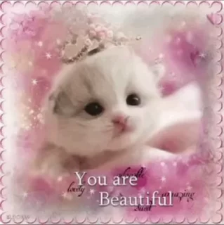 🌟 emoji открытки кошки @satori_666 Telegram sticker 24 of 96