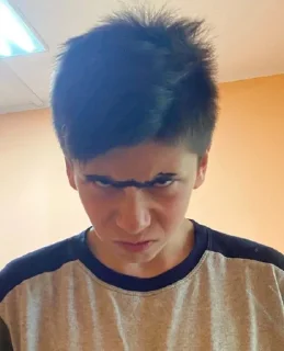 😡 emoji Метр с кепкой Telegram sticker 22 of 51