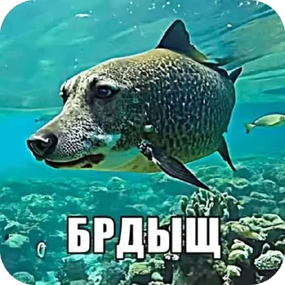 🫥 emoji qqqshka Telegram sticker 13 of 22