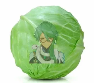 🥬 emoji Baizhu supremacy Telegram sticker 23 of 51