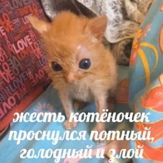 😫 emoji на все случаи жизни Telegram sticker 21 of 74