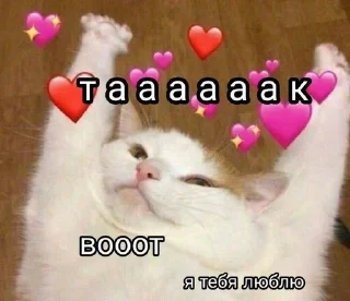 🌟 emoji котики💗 Telegram sticker 7 of 35