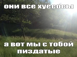 🌟 emoji Чот не эшкере( Telegram sticker 12 of 38