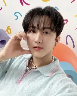 ❤ emoji Stray kids Telegram sticker 9 of 45
