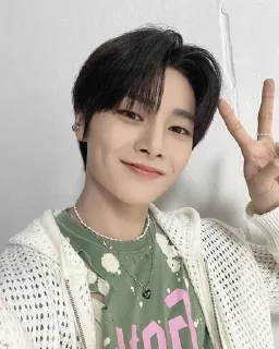 ✌ emoji Stray kids Telegram sticker 10 of 45