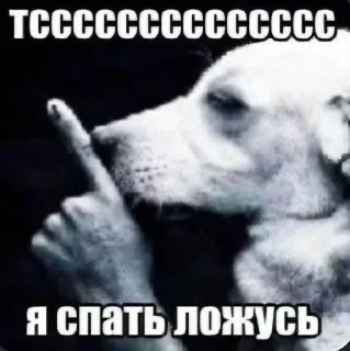 🤫 emoji Быстро и понятно :@tea090 Telegram sticker 18 of 74