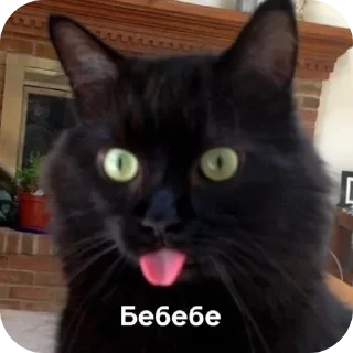 😝 emoji Kitticetics Telegram sticker 8 of 89