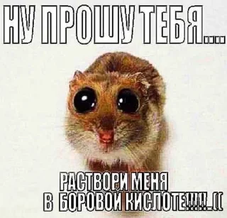 🥺 emoji вставай Telegram sticker 14 of 57