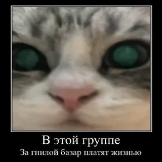 Sticker from Ебаный komar