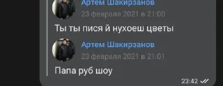 🌟 emoji Буреновка R.P Telegram sticker 11 of 14