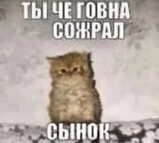 🌟 emoji ТЫ ЧЕ ГОВНА СОЖРАЛ Telegram sticker 3 of 76