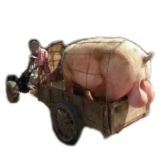 🚗 emoji Свинтуси👁️🐽👁️ Telegram sticker 22 of 31