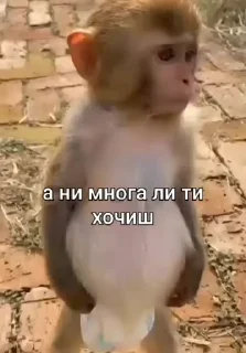 🙄 emoji Хз Telegram sticker 18 of 62
