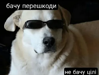 🌟 emoji Дізморальщина Telegram sticker 20 of 76