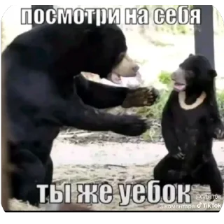 🫥 emoji На всі випадки життя Telegram sticker 23 of 68