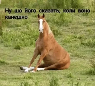 🌟 emoji Дізморальщина Telegram sticker 23 of 76