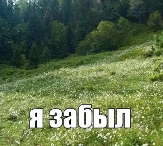 Sticker from душно @seimis