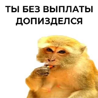 😤 emoji s. toschka Telegram sticker 22 of 55