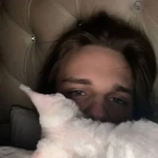 🐈 emoji скали и уголь @stikiotnikiti Telegram sticker 6 of 19