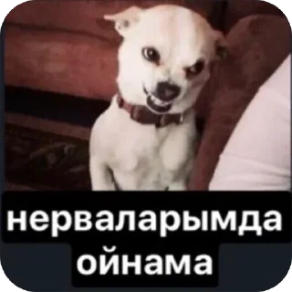 👍 emoji ЧеПуХа Telegram sticker 13 of 68