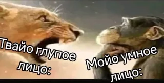 🌟 emoji сука на коленях сейджеро акаши Telegram sticker 13 of 62