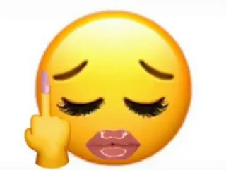 🖕 emoji Хз хуета какаета Telegram sticker 8 of 57