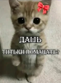 🌟 emoji Стикеры 👉 @animokubot Telegram sticker 23 of 58