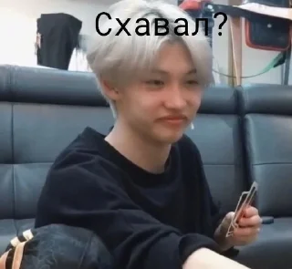 🤩 emoji Стрей кидс Telegram sticker 12 of 49