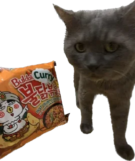 🍜 emoji кот сема и друзя Telegram sticker 20 of 52
