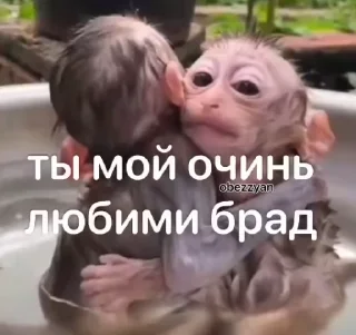 🥰 emoji БОЛЬШЕ ⇨ @CLOOBHUB МАНКИ СТИКЕРЫ ОБЕЗЬЯНЫ ПОН ТГ Telegram sticker 15 of 120